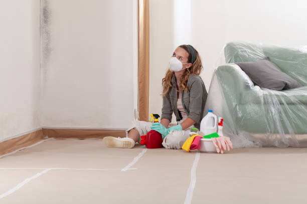 Reliable Black Mold Removal contractor in Concord, PA by WQB Mold Removal